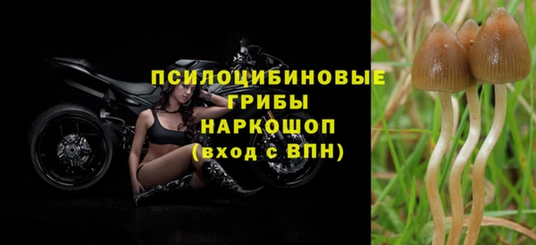 дмт Алексин