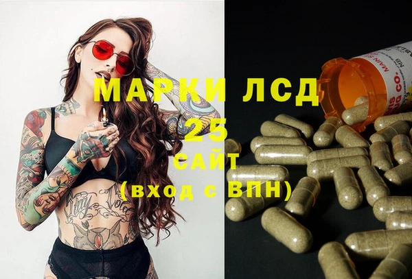 дмт Алексин