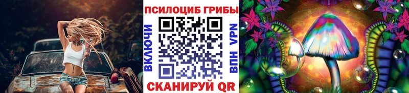 где купить наркотик МЕГА ссылки Псилоцибиновые грибы Cubensis Долинск