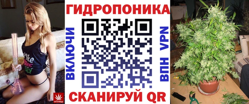 Бошки Шишки Amnesia  Долинск 